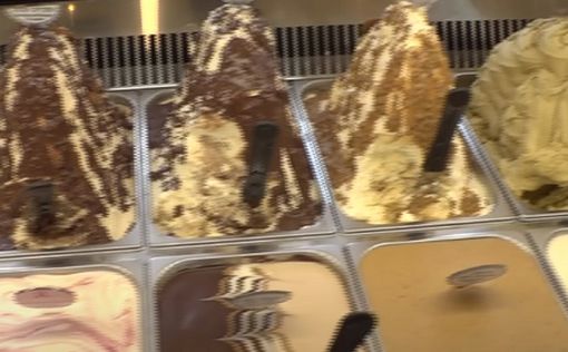 110 шекелей за кило: известная сеть поднимает цены на мороженое