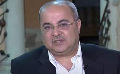 Депутат Ахмад Тиби доволен решением Генассамблеи ООН по палестинцам