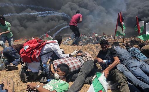 У ООН закончились деньги для Газы