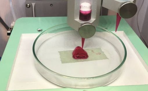 В Швеции начали печатать органы на 3D-принтере
