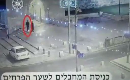 Видео помощника террористов на Храмовой Горе