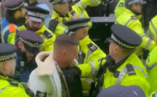 Полиция Лондона подсчитала число арестов на пропалестинских демонстрациях