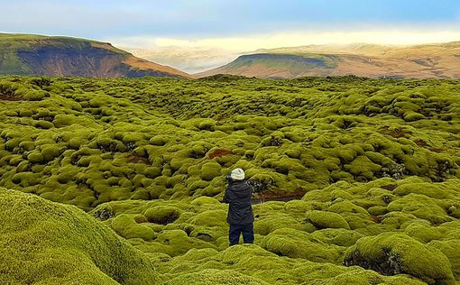 Работа мечты: в Исландии открыли вакансию путешественника