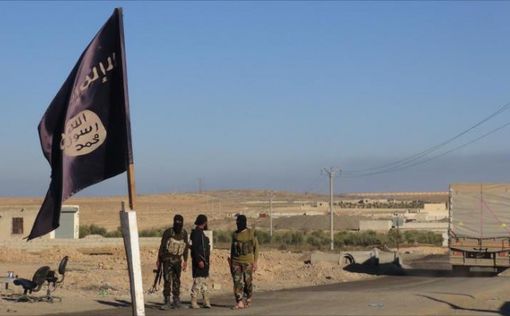 46 боевиков ISIS убиты на севере Сирии