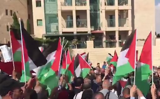 Депутат от "Ликуда" предложил запретить палестинский флаг