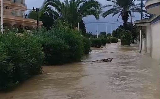 Пять человек погибли при наводнении в Тунисе