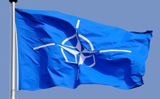 НАТО: "Исламское государство" не повержено