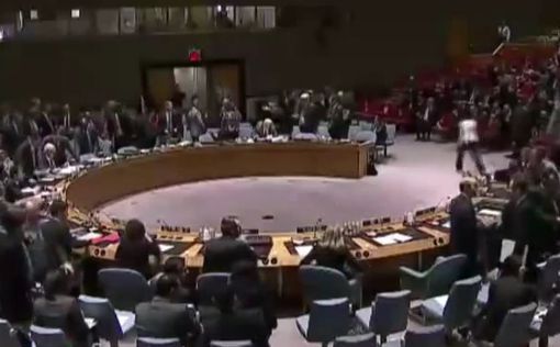 В Совбез ООН внесли новую резолюцию по Сирии