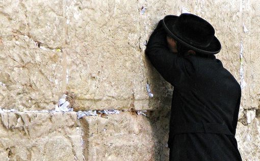 Евреи Франции требуют защитить Израиль в ЮНЕСКО