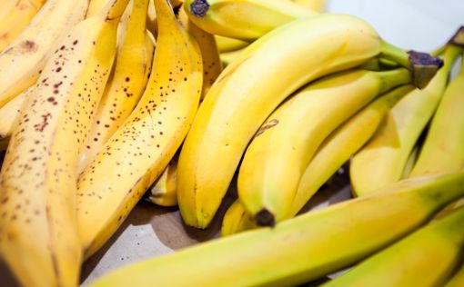 Мир может остаться без бананов