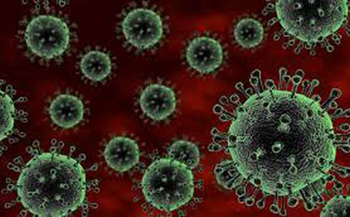 ВОЗ: коронавирус похож на "болезнь Х"