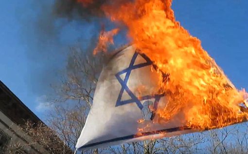 Бундестаг: депортировать тех, кто сжигает флаги Израиля