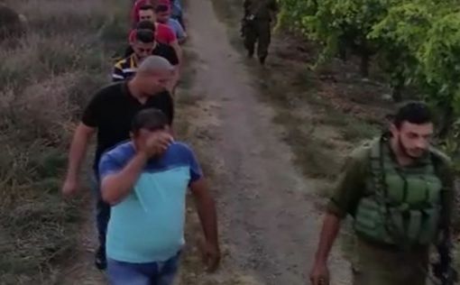 Рекорд аграрного террора: арестованы 67 палестинцев