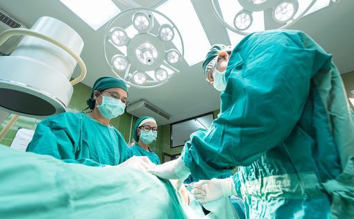 В Италии число трансплантаций достигло рекорда