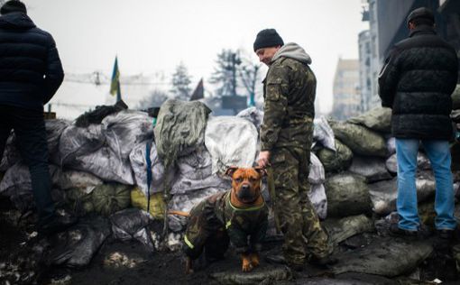 Вторая волна украинских протестов будет намного масштабнее