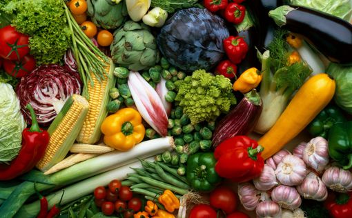 Вегетарианство - залог здоровья и несчастья
