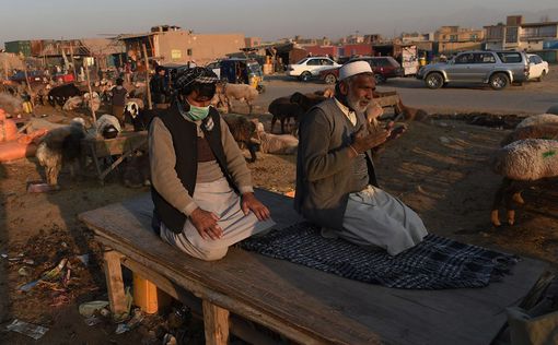 Афганистан: взрыв смертника. Есть многочисленные жертвы