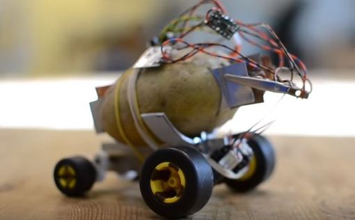 Поляк создал робота из картошки