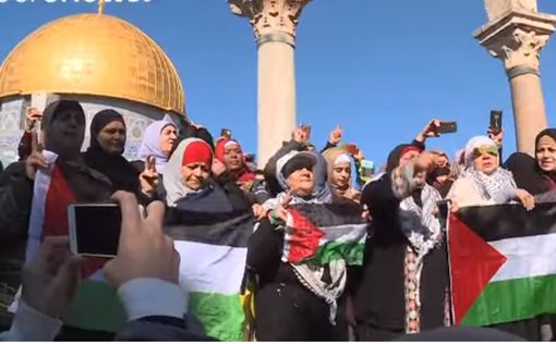Сотни арабов участвуют в стычках с израильскими военными
