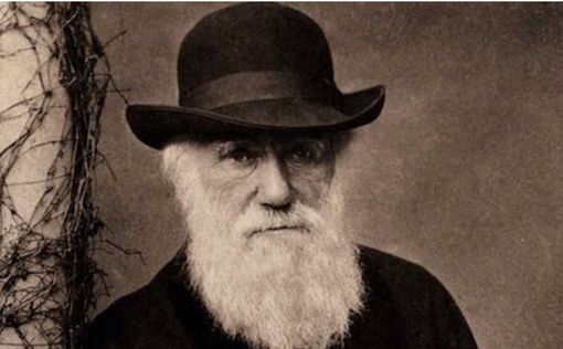 Копию работы Дарвина с его пометками продадут на аукционе