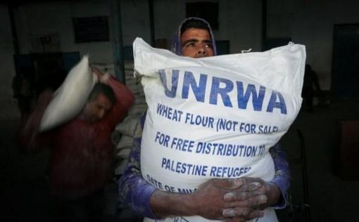 В Кувейте призывают прекратить финансирование UNRWA
