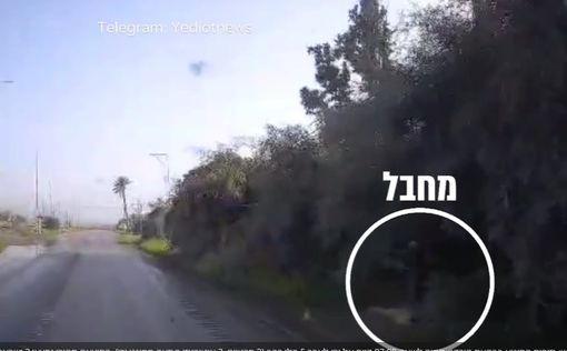 Момент теракта на шоссе 90 попал на видео