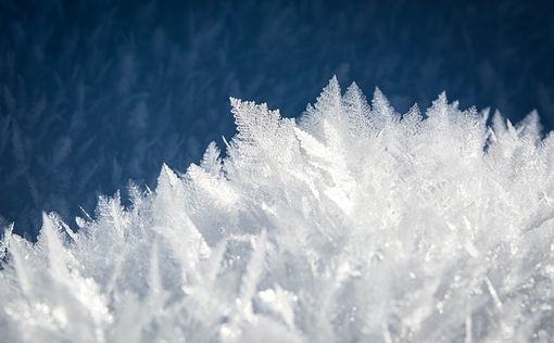 В Арктическом снегу обнаружены частицы микропластика