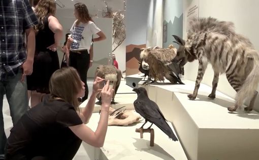 В Тель-Авиве открывается новый музей естественной истории