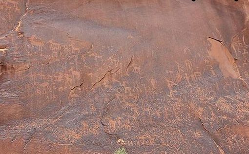 Самые большие петроглифы Горного Алтая обнаружили ученые