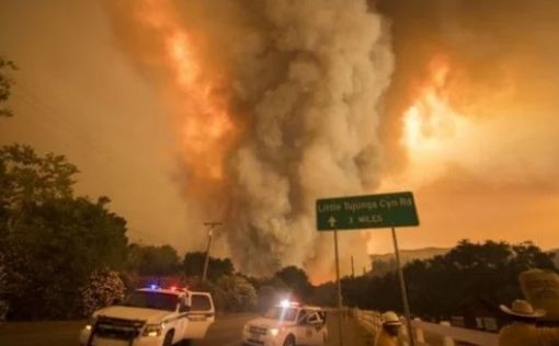 Жертвами лесных пожаров в Калифорнии стали уже 66 человек