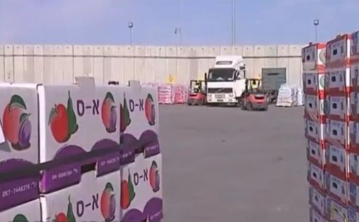ХАМАС запретил импорт израильских фруктов в Газе