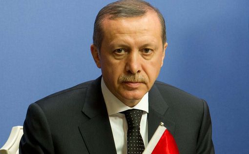 Эрдоган ищет виноватых