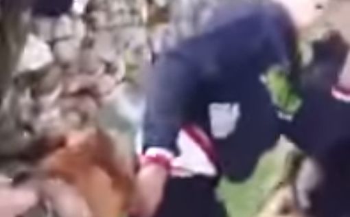 Палестинца покусали собаки ЦАХАЛа и он решил судиться