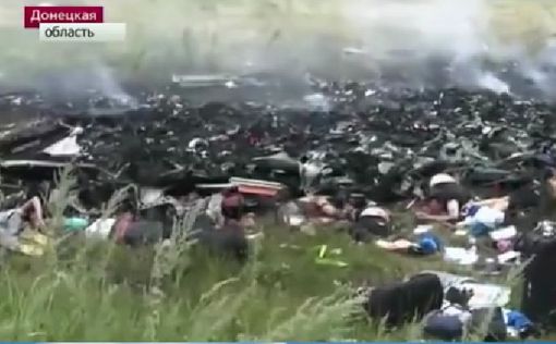 Виновных в крушении MH17 в Донбассе осудят в Нидерландах