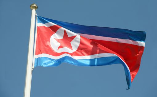 Власти КНДР вызвали своих послов в Пхеньян