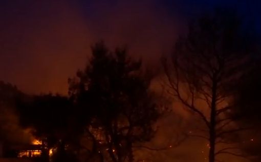 Названо количество погибших от пожаров в Греции