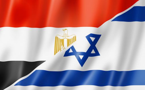 Египет присоединился к иску ЮАР в Гааге