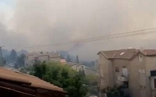 Пожар в Ноф ха-Галиль: городу выделят 30 млн шекелей