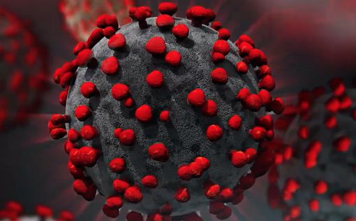 Новое исследование: коронавирус может добраться до мозга