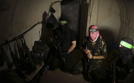 ХАМАС: наши туннели целы | Фото: AFP