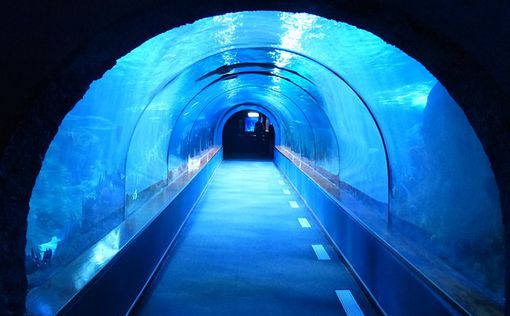 Китай строит самый большой в мире подводный туннель