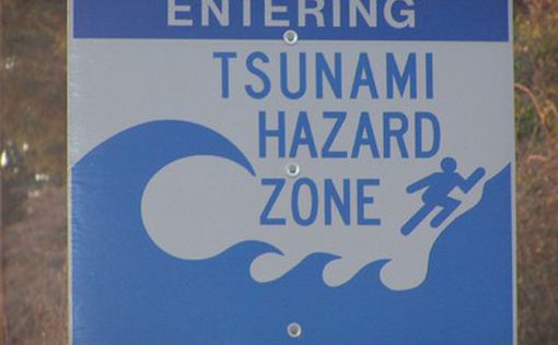 В Новой Зеландии ожидают цунами | Фото: AFP