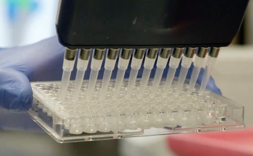 Израиль: создан высокоэффективный тест на антитела