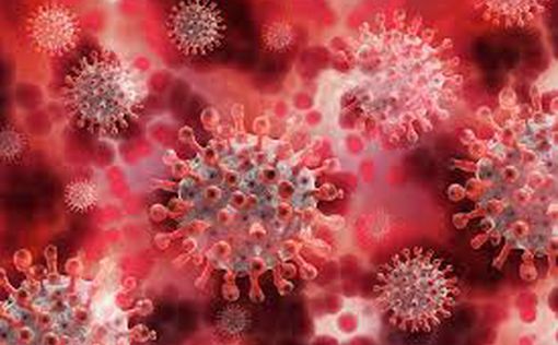 Сколько сохраняется иммунитет к COVID: обнадеживающие данные