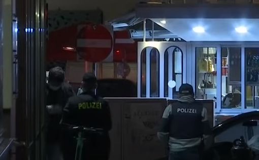 МВД Австрии: у атак - исламистский мотив