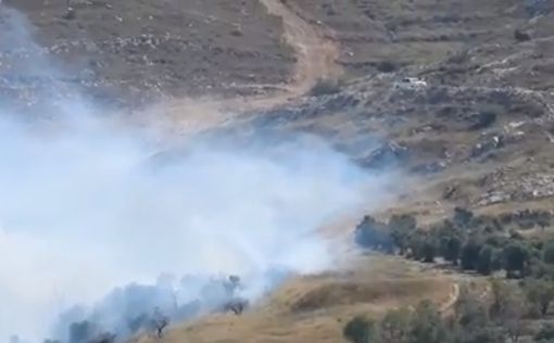 Поселенцев обвинили в поджоге полей на Западном берегу
